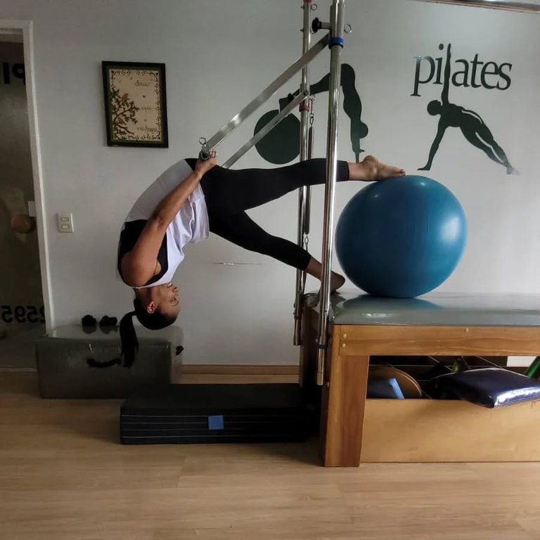 Fisio Move | Meier