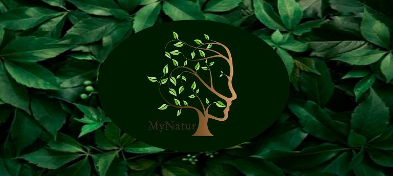 Mynatur - Terapêuticas Naturais & Tratamentos Estéticos - Saldanha