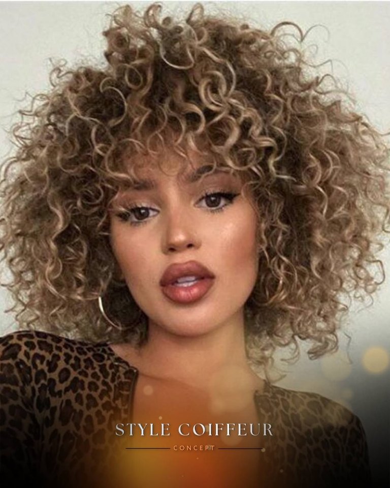 Style Coiffeur Concept