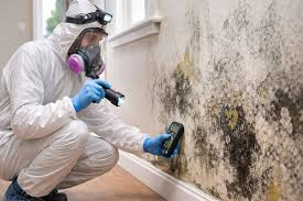 Mold Inspection in Pompano Beach