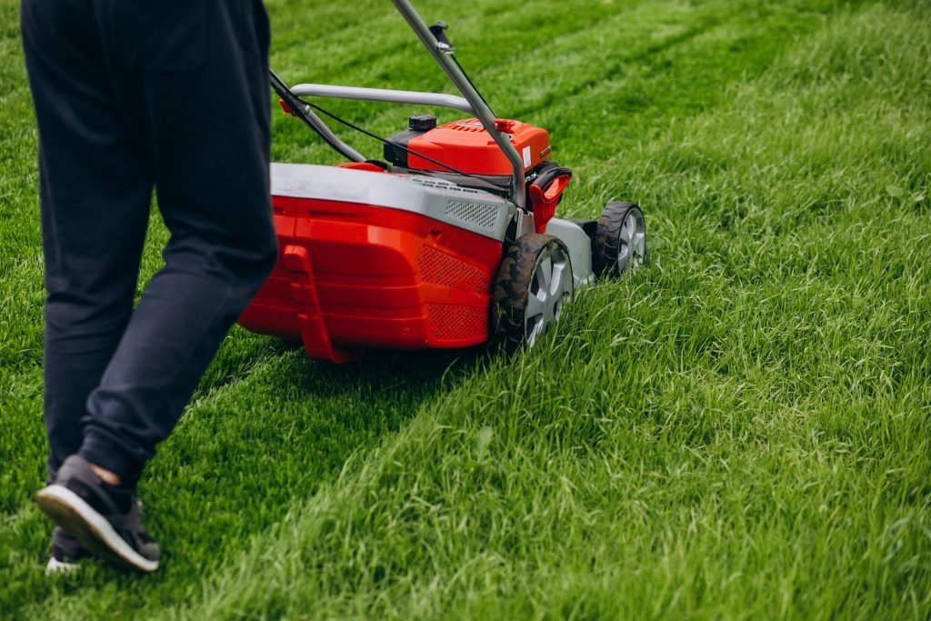 Noleggio attrezzatura giardinaggio
