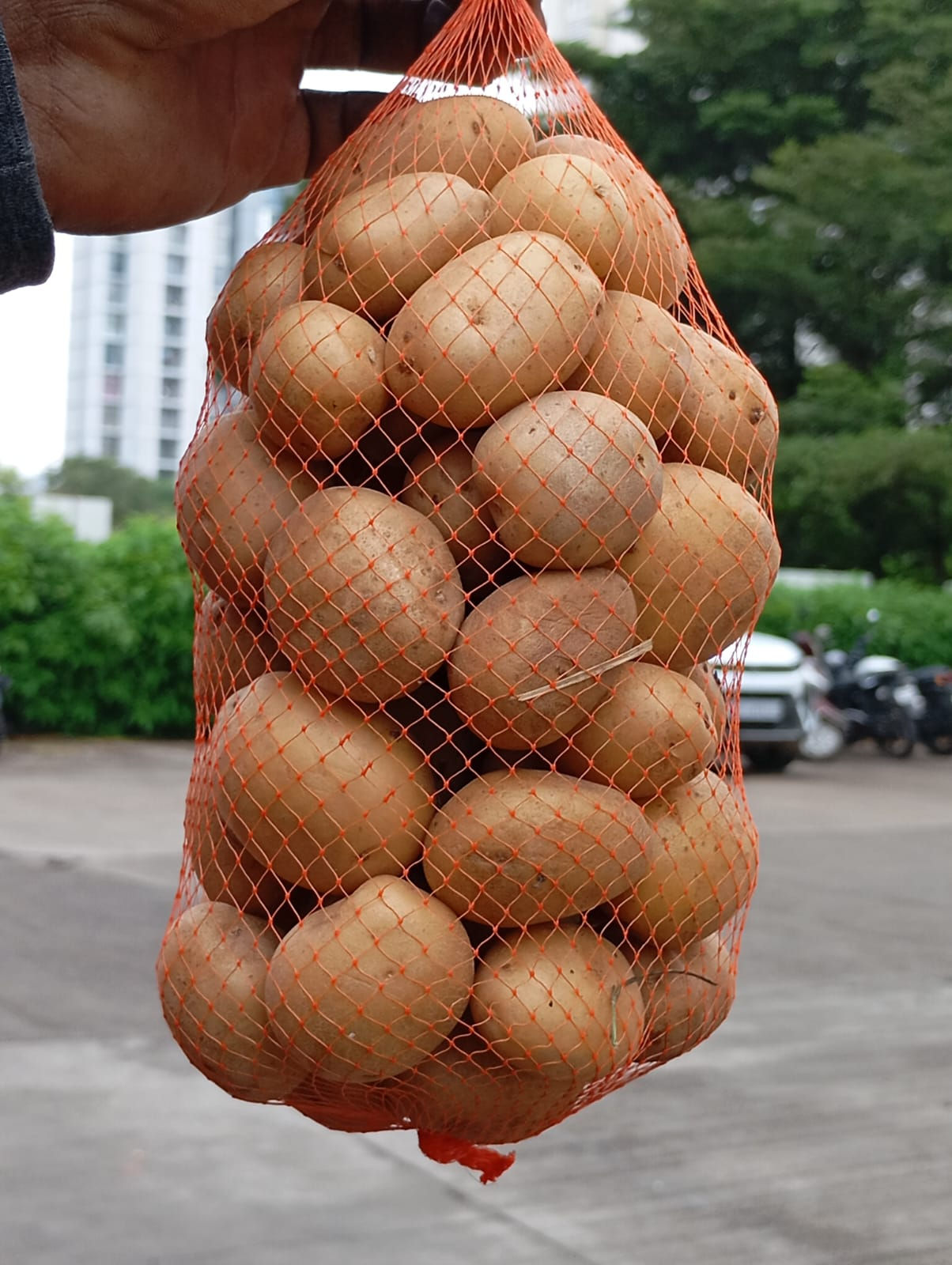 Daam Aalo-Baby Potatoes