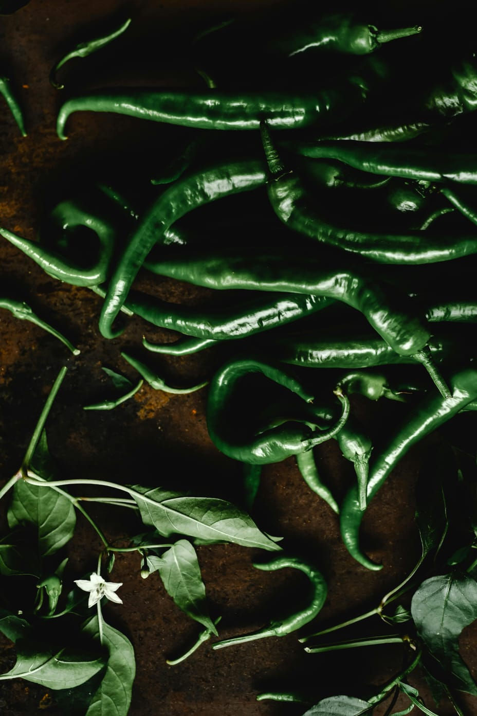 Green Spice Chilli