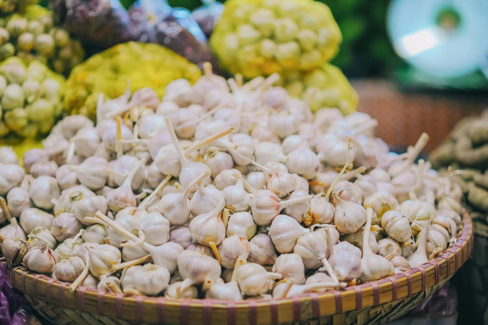 Garlic-Lasun