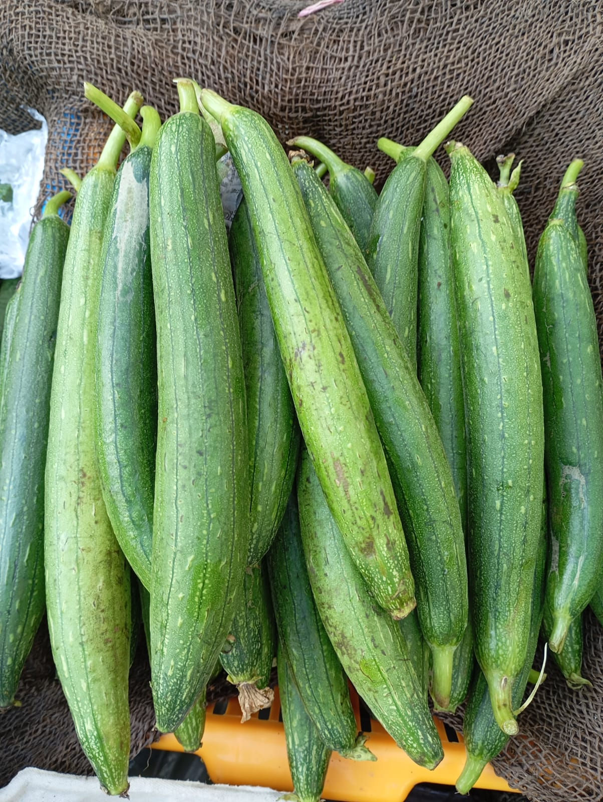 Sponge Gourd-Ghosawale