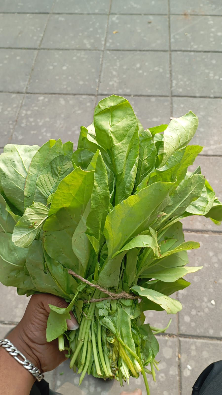Palak
