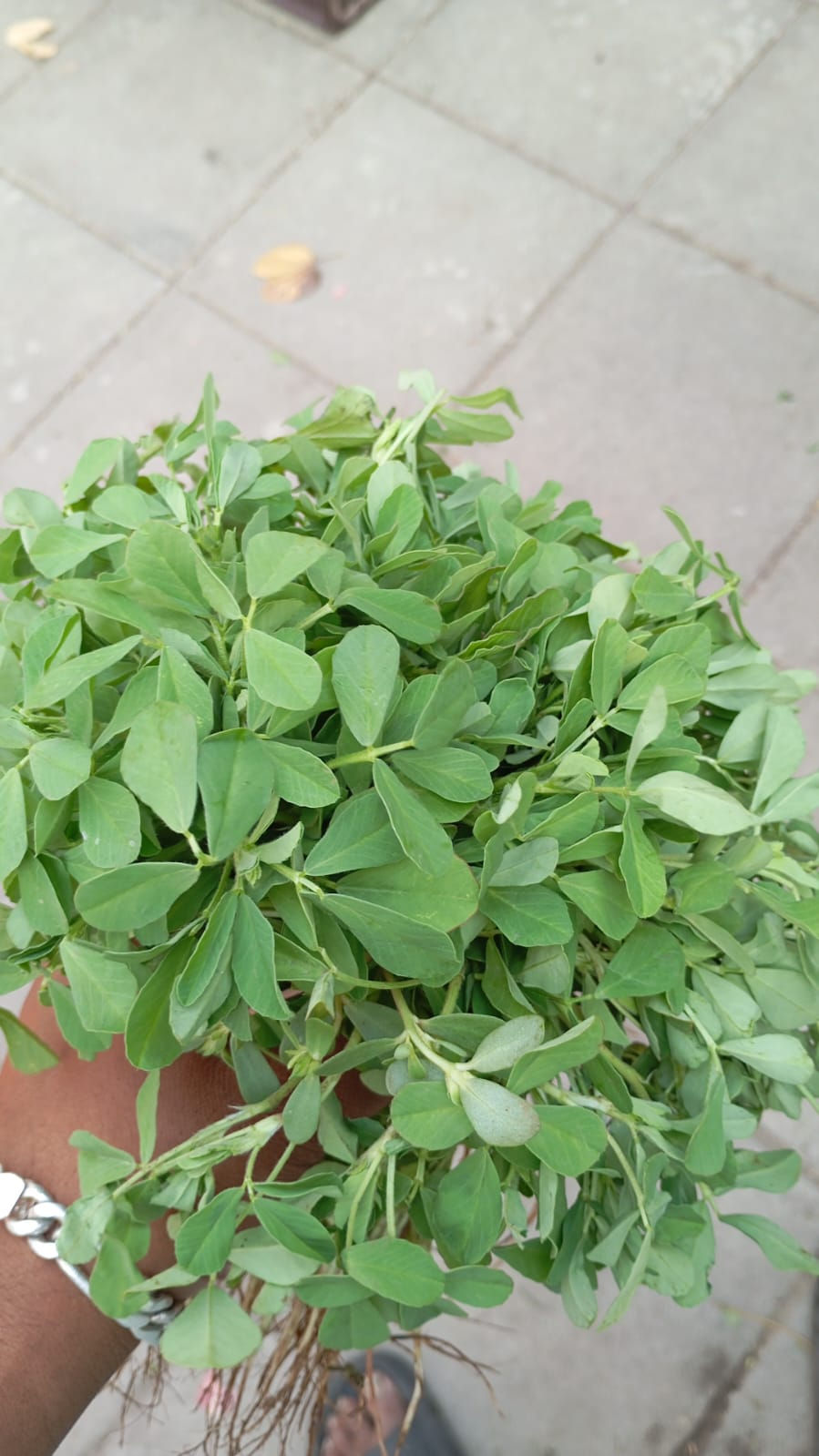 Methi