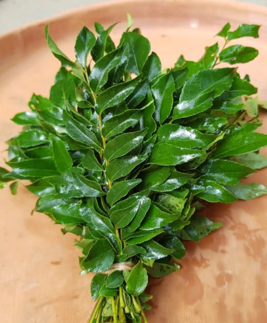 Kadipatta-Curry Leaves