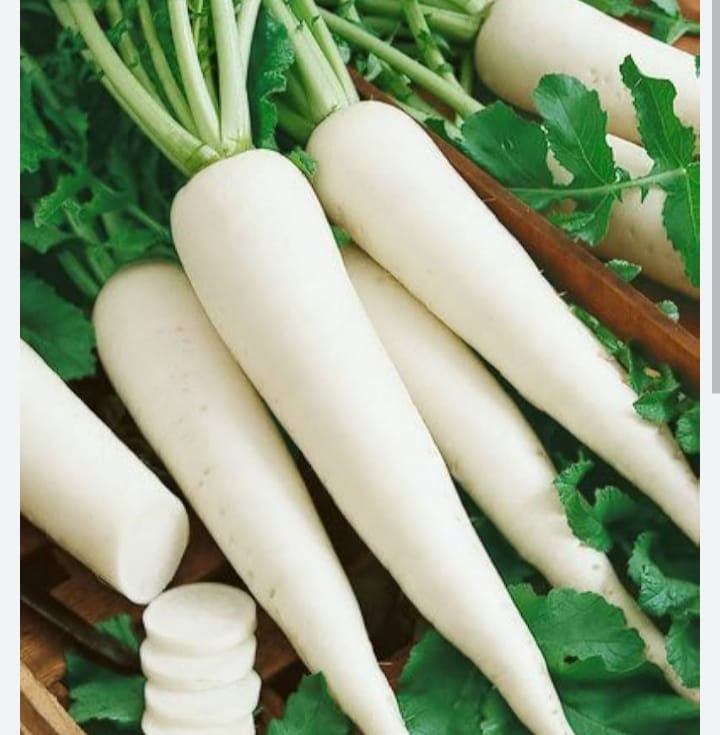 White Reddish-Mula