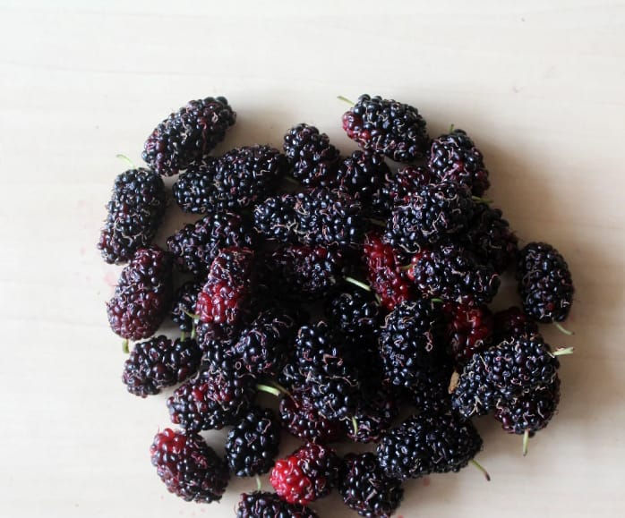 Mulberries