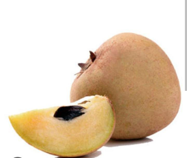 Chikoo - Sapota