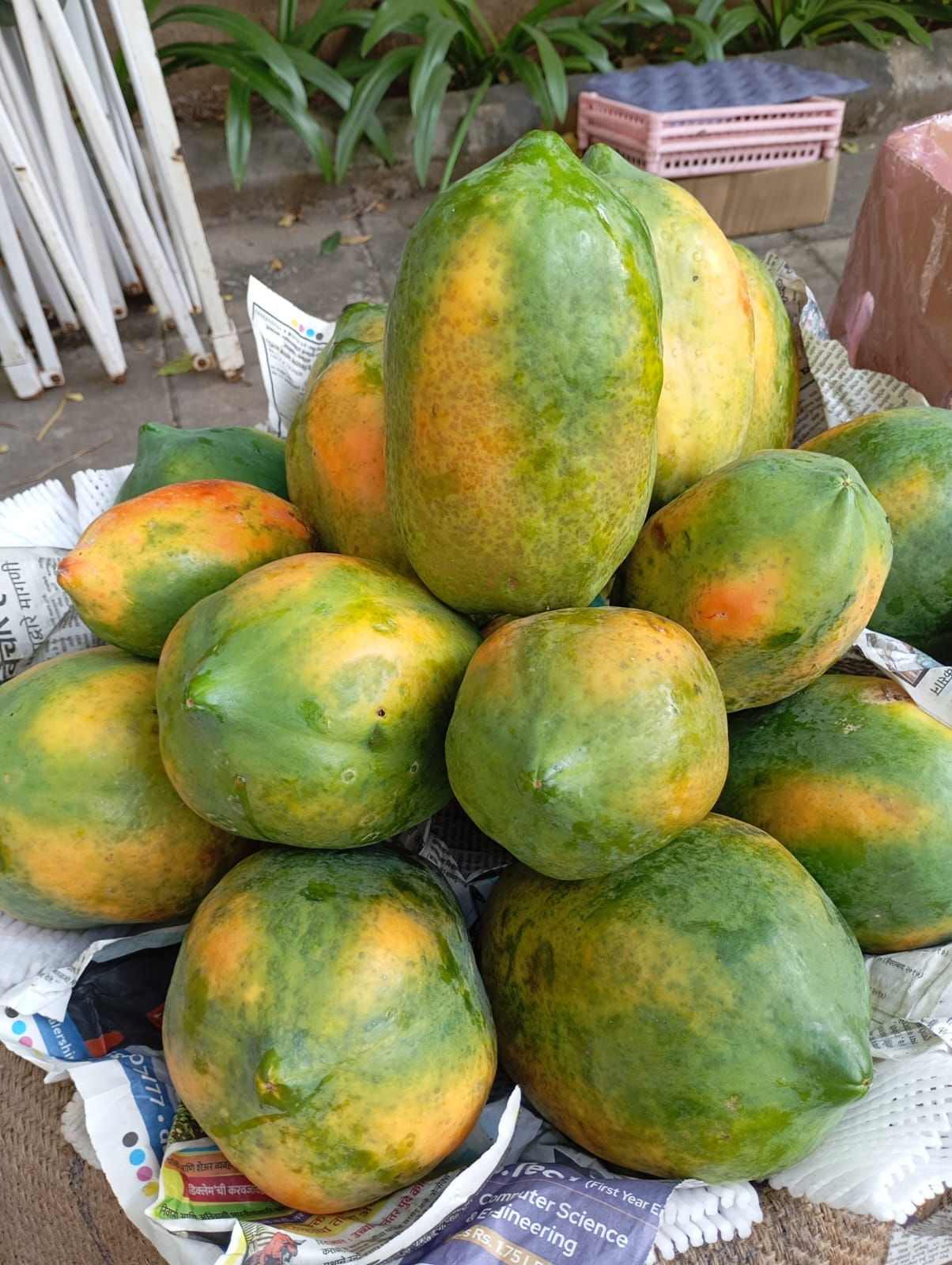 Papaya
