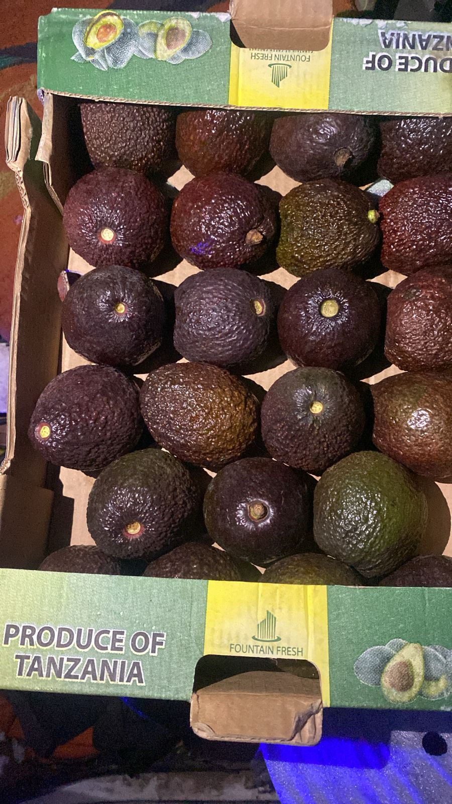 Avocado