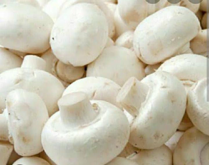 Button Mushrooms