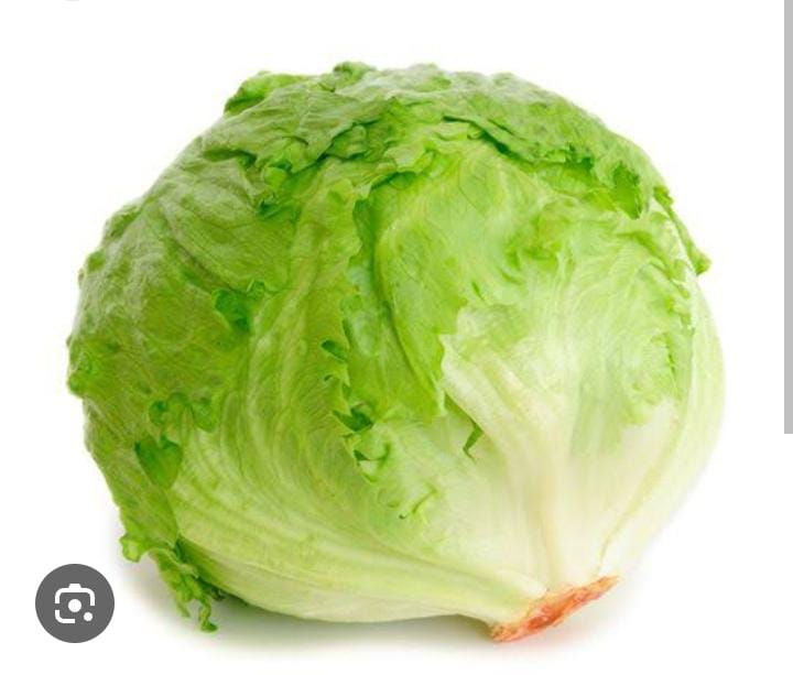 Iceberg Lettuce