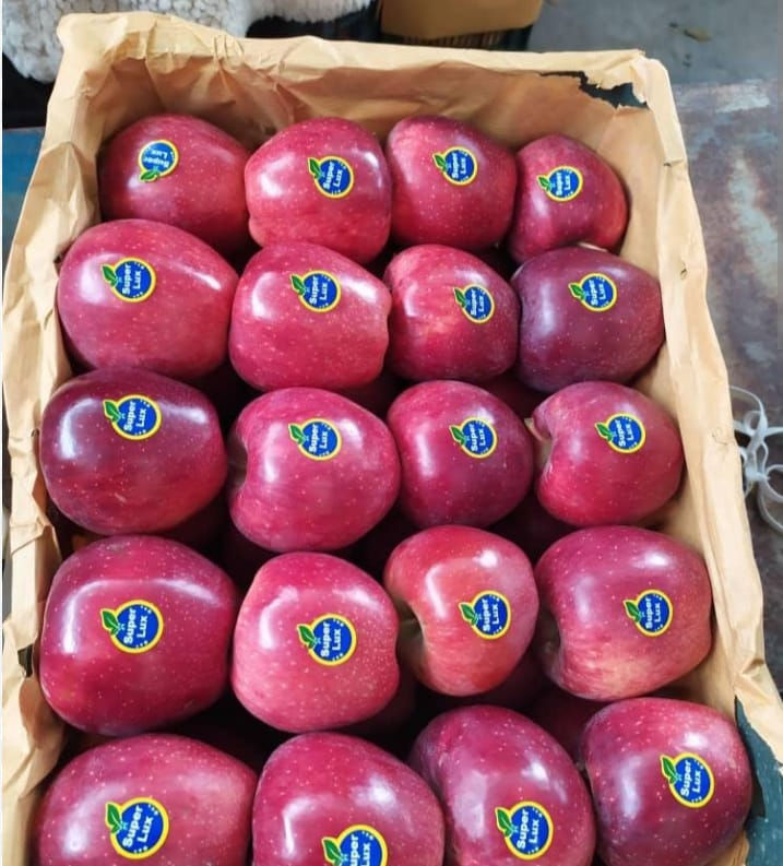 Shimla Apples