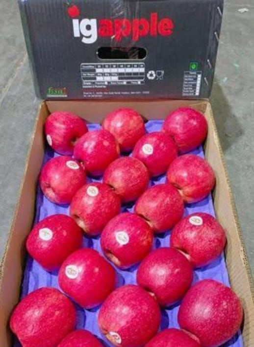 Royal Gala Apple