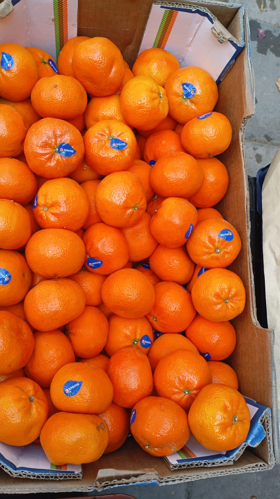Mini Orange -Mandrin