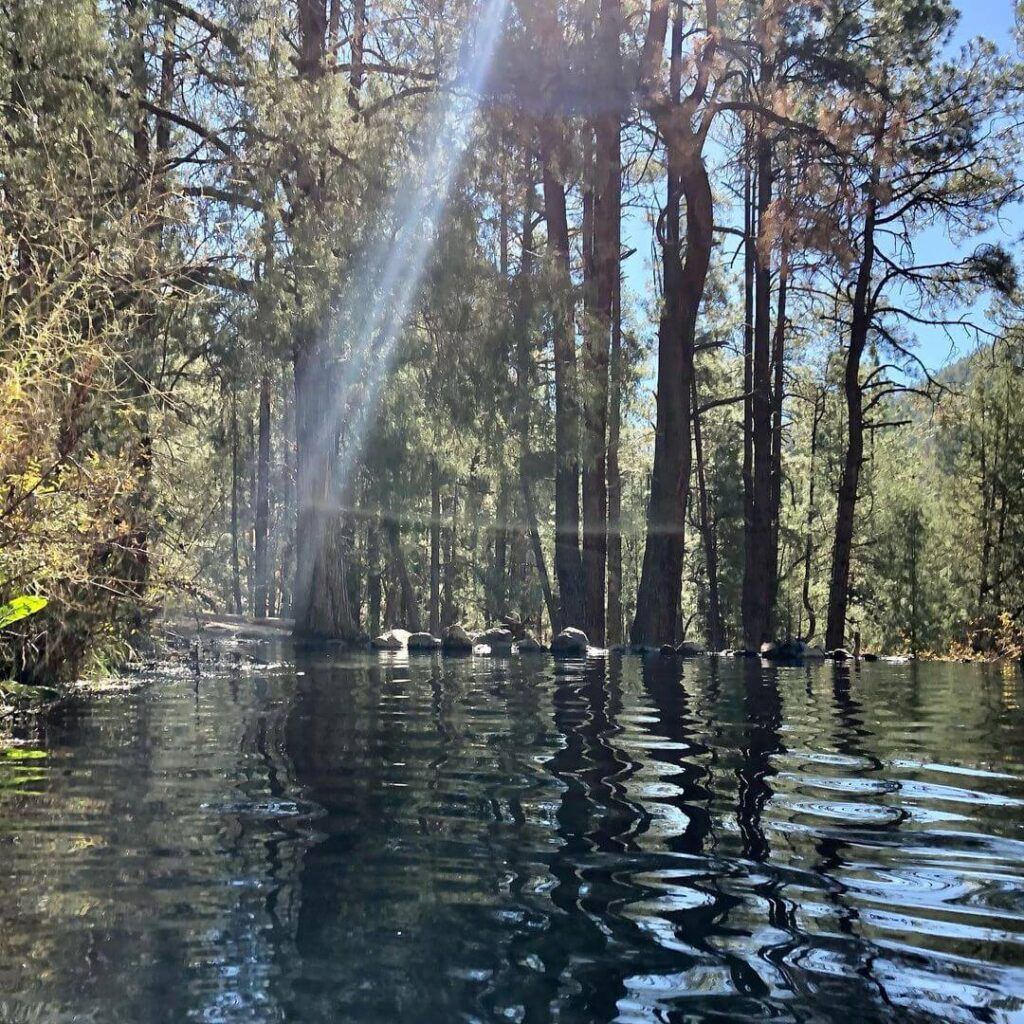 McCauley Hot Springs