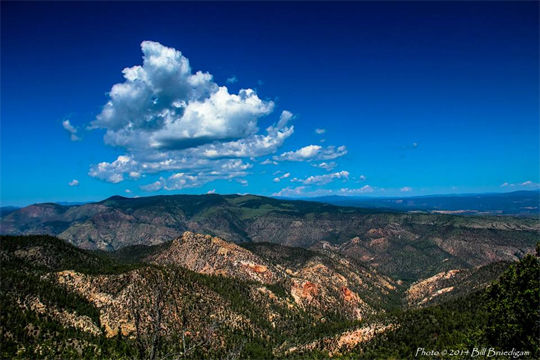 Gila National Forest NM