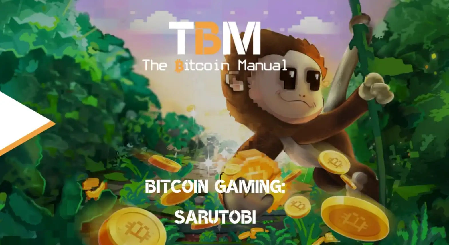 7 Game Penghasil Bitcoin Jaman Dulu yang Dulu Remeh Kini Bikin Tajir Monyet terbang pelopor reward satoshi di App Store yang jadi cikal bakal play-to-earn. Foto: Counterparty/Getty