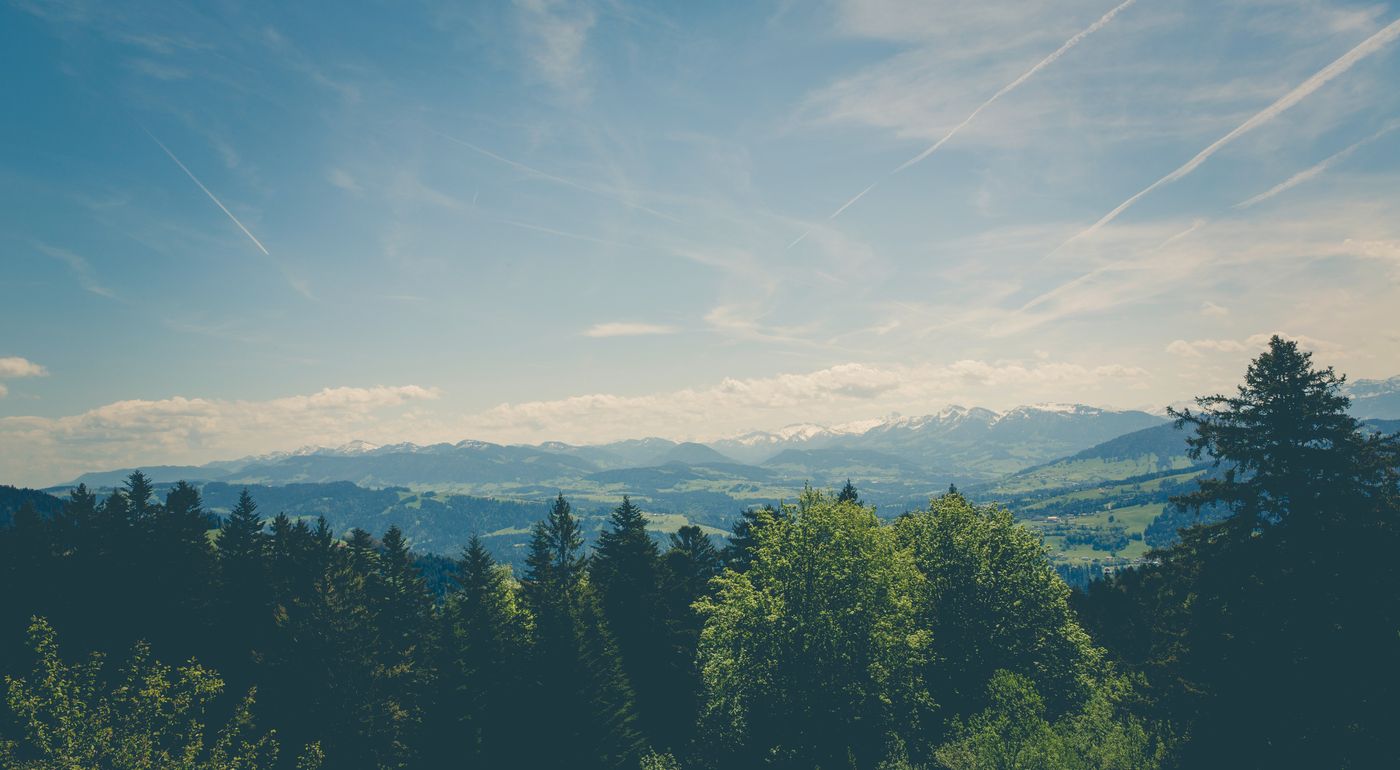 green forest with mountain range view in background and light clouds in the sky