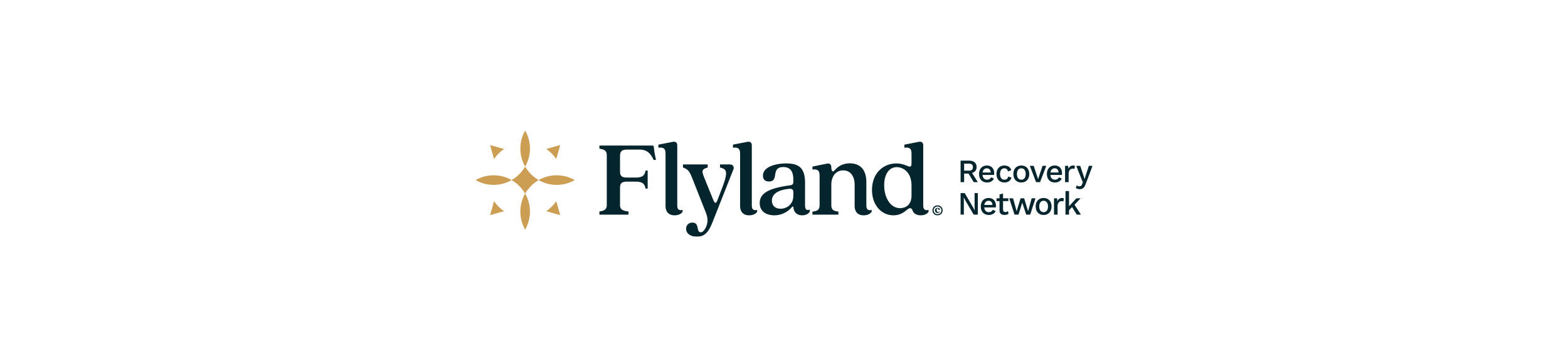 FlyLand