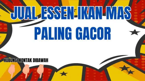 0857-2222-4391 Pusat Jual Essen Ikan Mas Musim Hujan 0857-2222-4391 Pusat Jual Essen Ikan Mas Musim Hujan