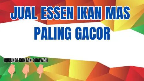 0857-2222-4391 Pusat Jual Essen Ikan Mas Termahal Di Dunia