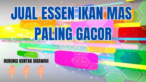 0857-2222-4391 Harga Jual Essen Ikan Mas Air Hijau