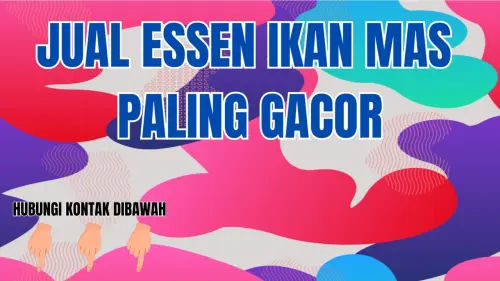 0857-2222-4391 Tempat Jual Essen Ikan Mas Musim Hujan 0857-2222-4391 Tempat Jual Essen Ikan Mas Musim Hujan