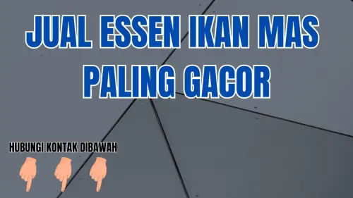 0857-2222-4391 Alamat Yang Menjual Essen Ikan Mas Segala Cuaca 0857-2222-4391 Alamat Yang Menjual Essen Ikan Mas Segala Cuaca