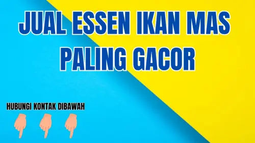 0857-2222-4391 Cari Essen Ikan Mas Cuaca Panas