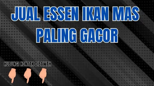 0857-2222-4391 Alamat Penjual Essen Ikan Mas Cuaca Dingin