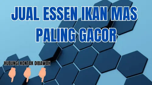 0857-2222-4391 Distributor Essen Ikan Mas Cuaca Panas