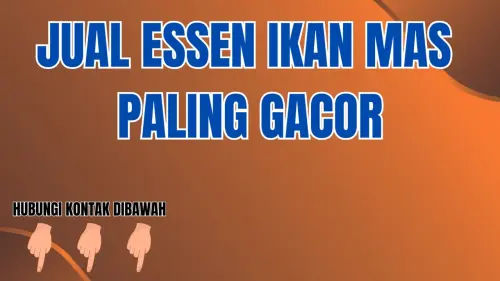 0857-2222-4391 Pusat Jual Essen Ikan Mas Cuaca Panas