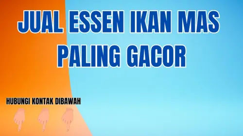 0857-2222-4391 Agen Essen Ikan Mas Musim Hujan 0857-2222-4391 Agen Essen Ikan Mas Musim Hujan