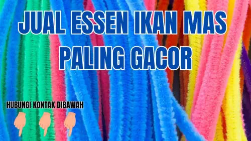 0857-2222-4391 Produsen Essen Ikan Mas Cuaca Panas