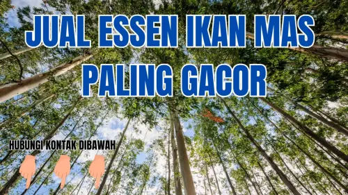 0857-2222-4391 Supplier Essen Ikan Mas Premium 0857-2222-4391 Supplier Essen Ikan Mas Premium