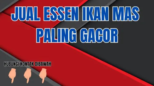 0857-2222-4391 Alamat Yang Menjual Essen Ikan Mas Cuaca Dingin