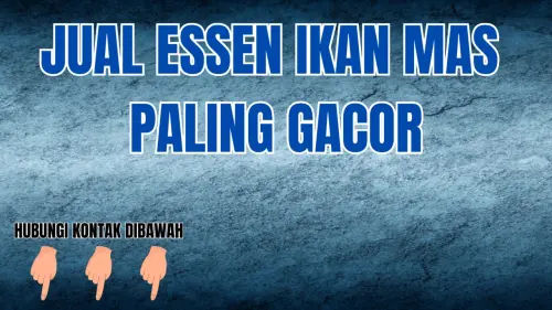 0857-2222-4391 Tempat Essen Ikan Mas Segala Cuaca 0857-2222-4391 Tempat Essen Ikan Mas Segala Cuaca