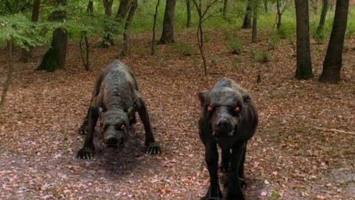 Hellhounds