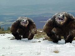 Deadly Descent: The Abominable Snowman