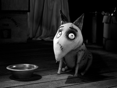 Frankenweenie