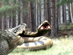 Lake Placid vs. Anaconda