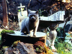 Pet Sematary