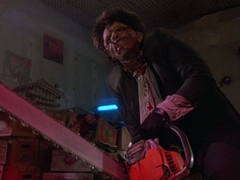 The Texas Chainsaw Massacre 2