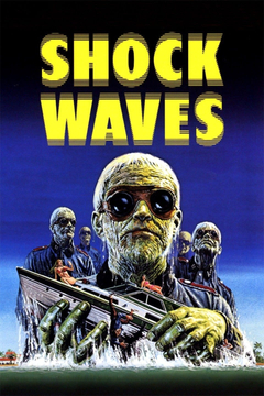 Shock Waves