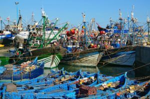 Fishing ships