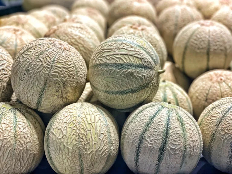 Melons Charentais